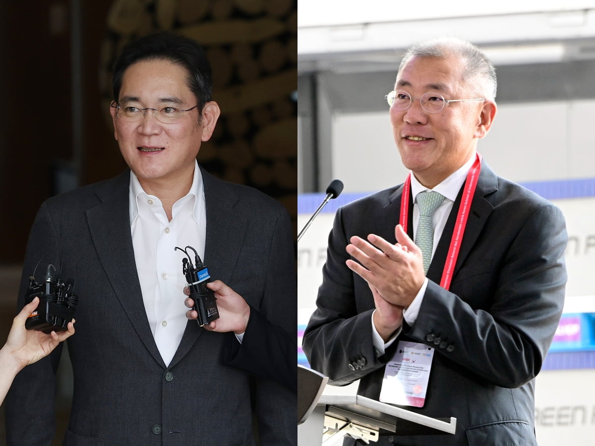 范尼回应未来问题：我希望今天或者明天会有结果